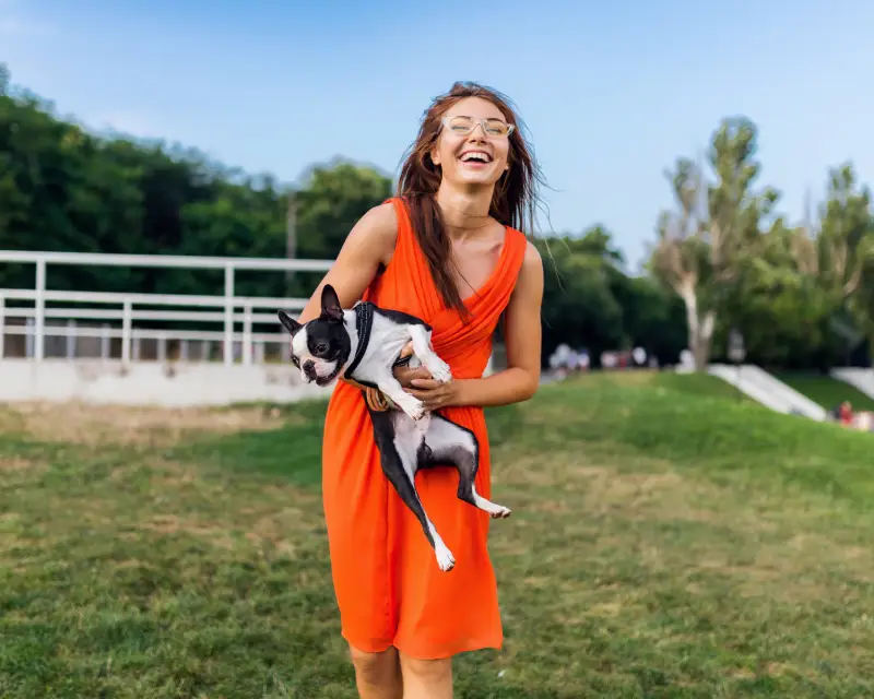 Traveling with your dog: a list of essentials for long traveling
