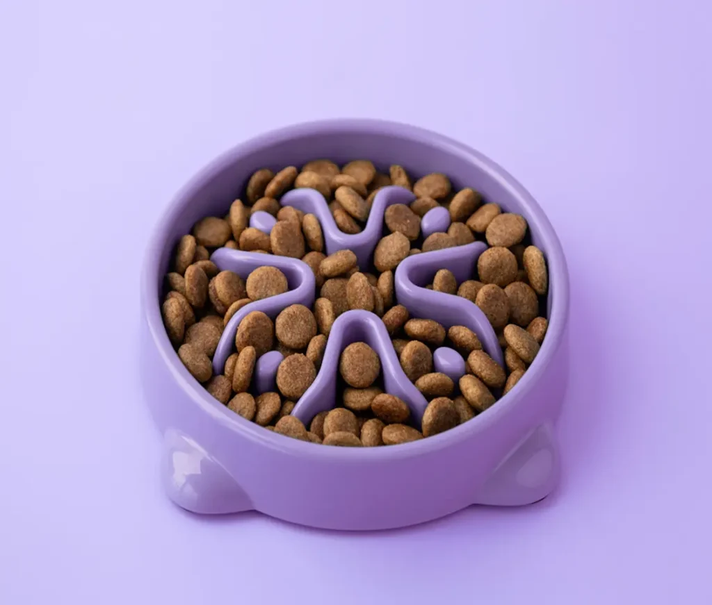 Food for junior cats