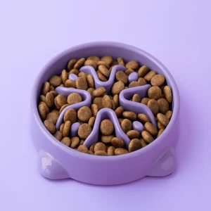 Food for junior cats