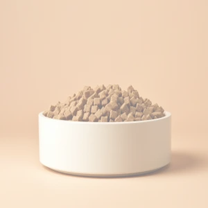 Dry food for dog