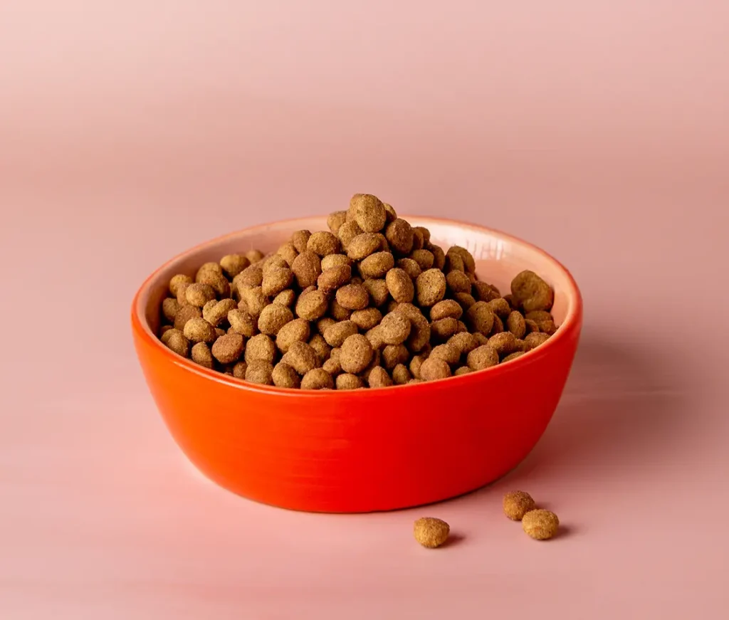 Daily dog food