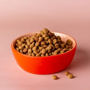Daily dog food
