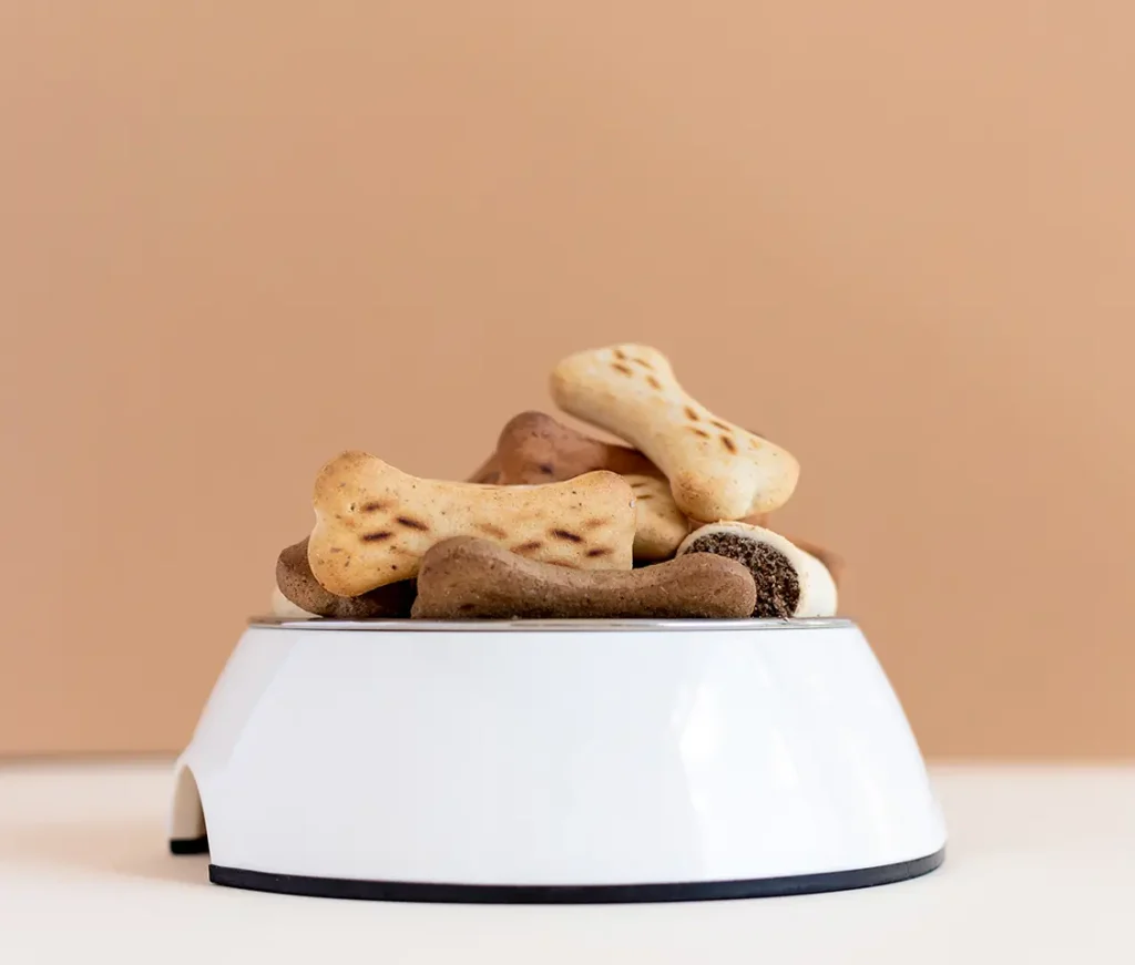 Treats biscuits