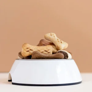 Treats biscuits