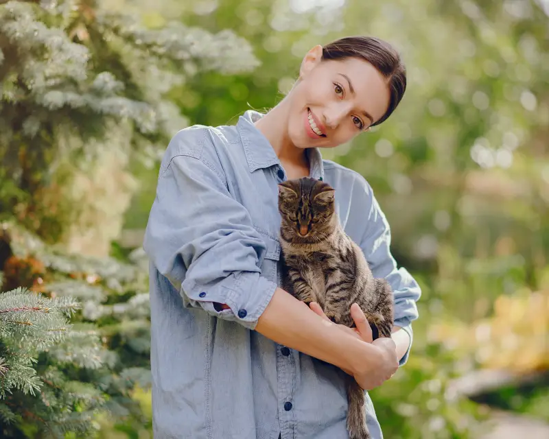 How to set up the right space for your cat at home