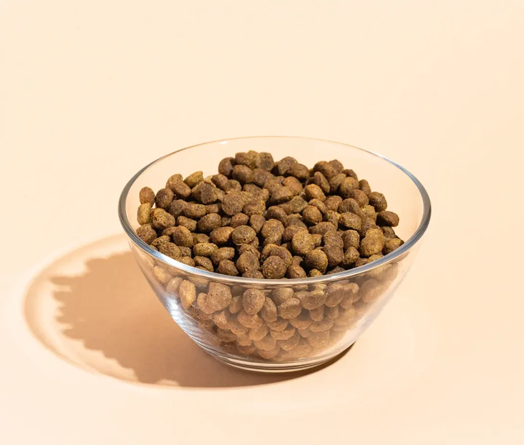 Food for puppies