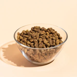 Food for puppies