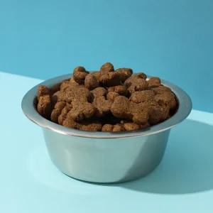 Cat dry food