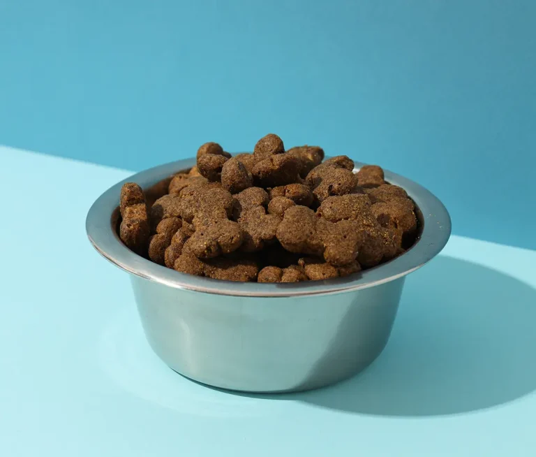 Cat dry food